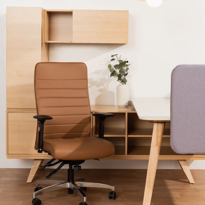 MBH-Mobilier-Bureau-Rouillard-Chaise-Lead-#9.jpg